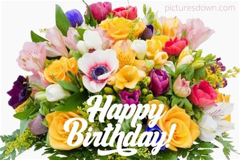 7,000+ Free Birthday Blumen & Happy Birthday Images